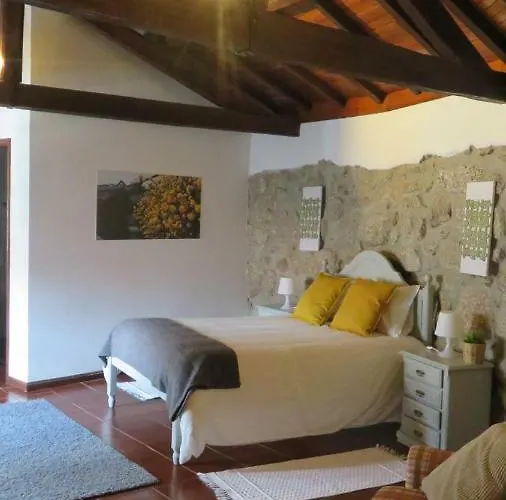 Casa Do Contador T3 / T6 Landhuis