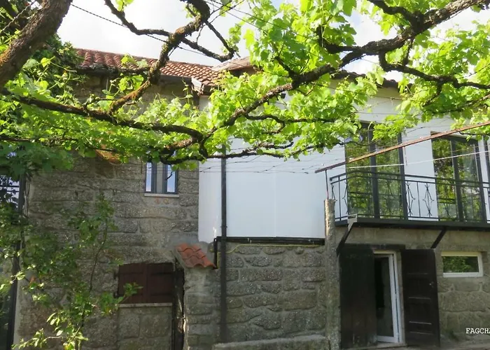 Gospodarstwo wiejskie Casa Do Contador T3 / T6 Vieira do Minho